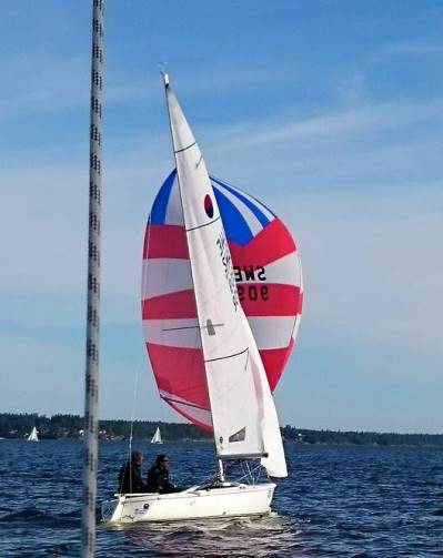 swe909 Wilda
